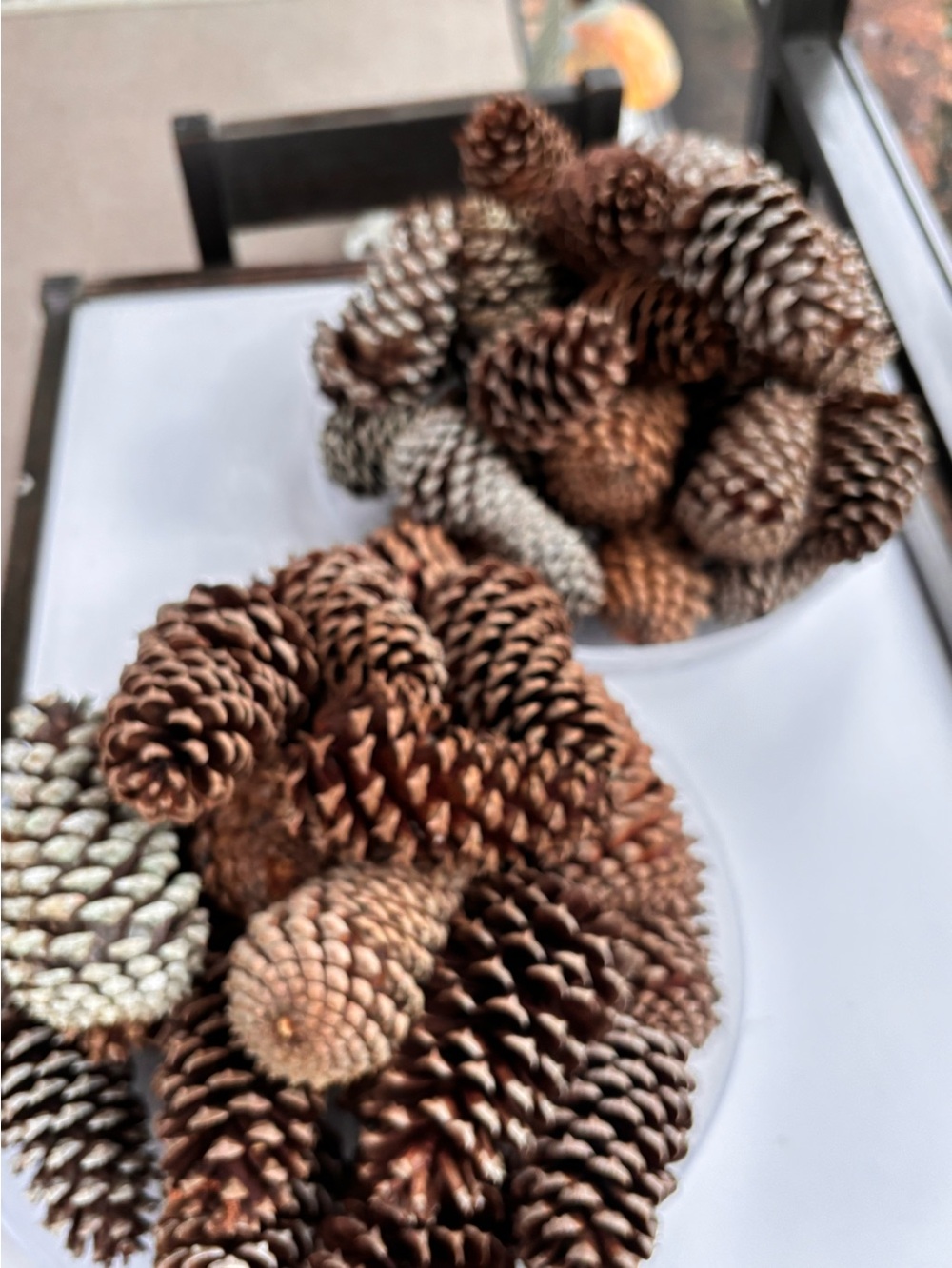 Natural 3-4" Pinecone Bundle 35 -3” 25 -4”